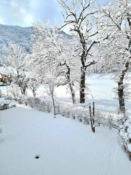 Appartement Le D12 Samoëns Dış mekan fotoğraf