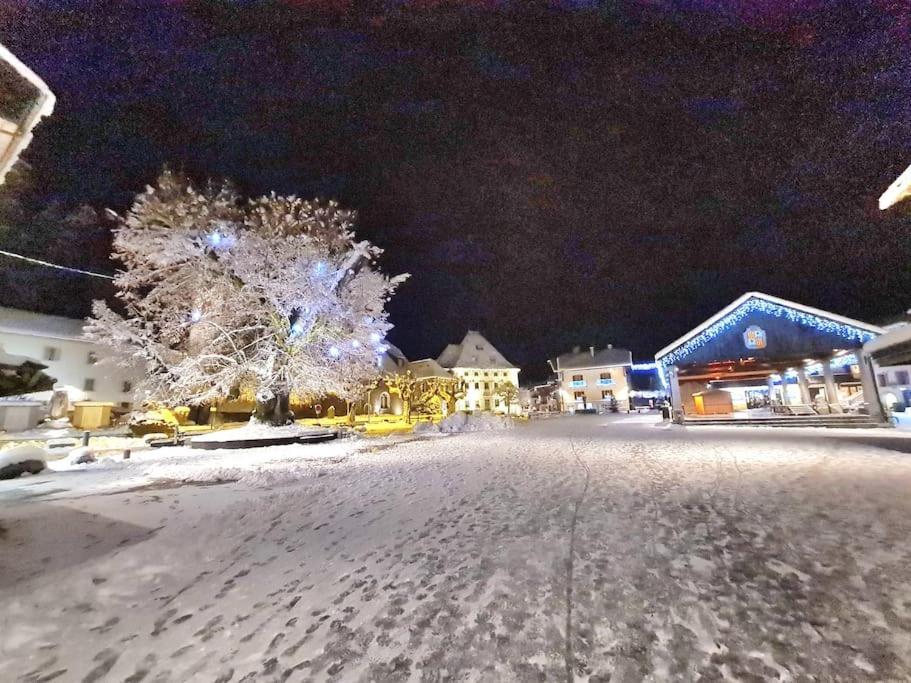 Appartement Le D12 Samoëns Dış mekan fotoğraf